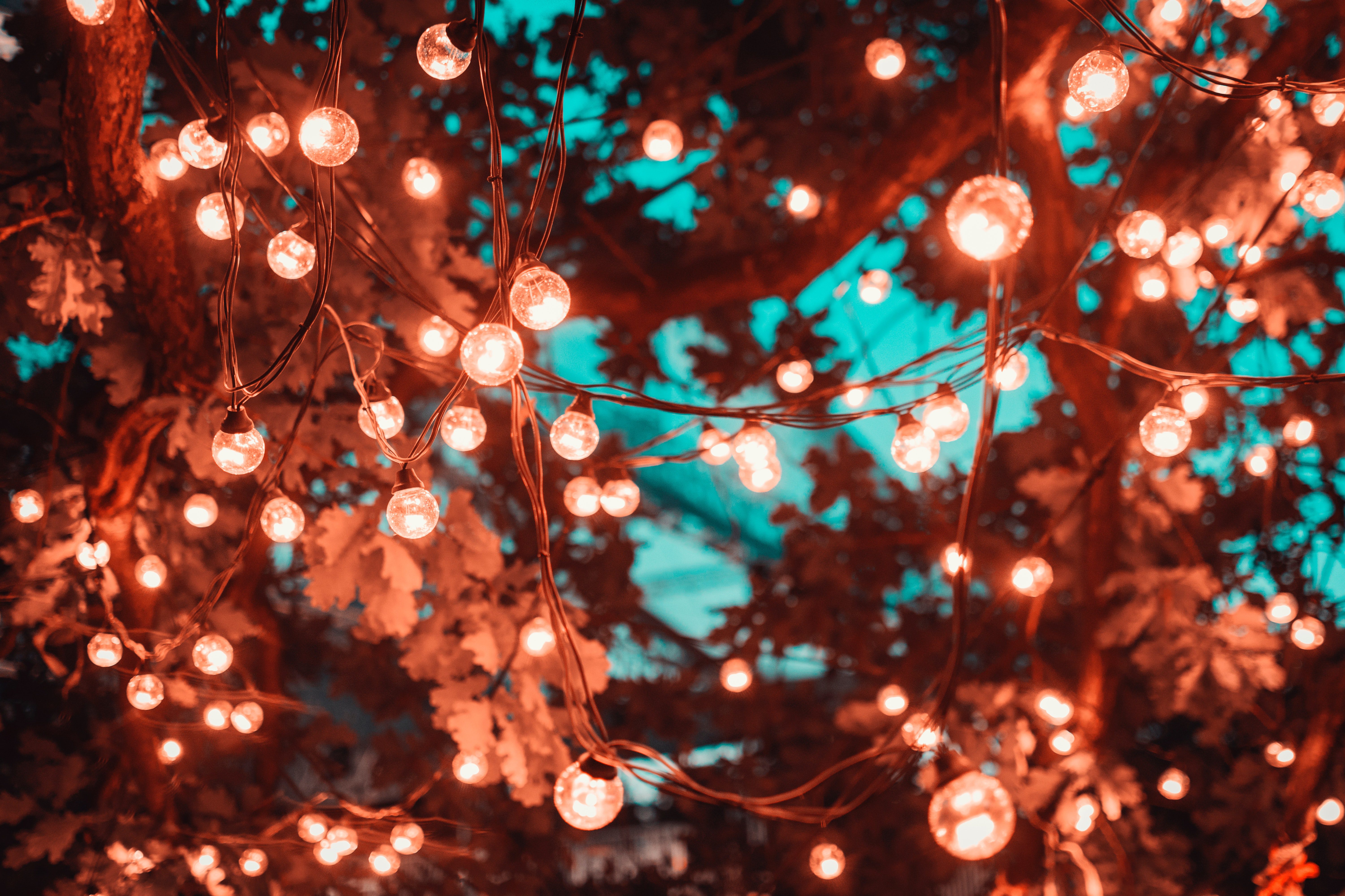 String lights in a tree