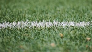 Painted astroturf